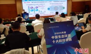 青藏高原冻土研究等入选2024年度中国生态环境十大科技进展