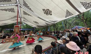 拉萨市将颁布全域旅游发展地方性法规 促进文旅产业大发展