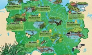 《海口市生物多样性地图》发布 系统整合海口陆海全域生态数据