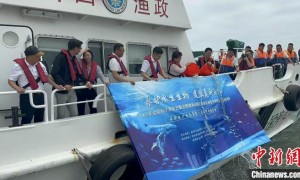 浙江今年计划放流种类海洋水生生物苗种超15亿单位