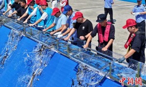 2025年全国水生生物同步增殖放流活动在福建举行