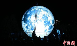 “敢上九天揽月”  中式浪漫“缤纷悉尼”吸睛