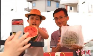 （乡村行·看振兴）江西安福“小西瓜”撬动乡村共富“大支点”