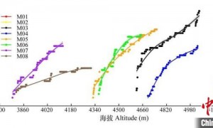 中国团队最新研究：青藏高原植物多样性被严重低估