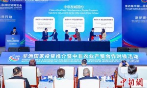 中非新增10对友好城市 国际“朋友圈”助推务实合作