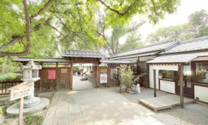 （友城故事）中外第一对友城天津与神户：“老友记”谱写“青年篇”