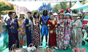 2025年加勒比文化体验活动在北京举行