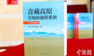 中国科研团队发布首幅青藏高原1:50万草地植被图
