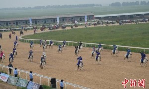 锡林郭勒草原牧民盛夏决赛“马超”