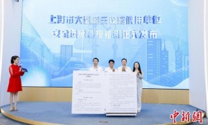 上海发布大型游乐设施安全运营合规指引
