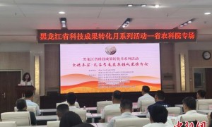 专家代表齐聚冰城共谋小麦振兴与杂粮高质量发展