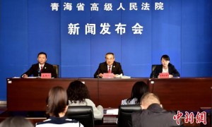 青海高院发布2024年度行政审判白皮书