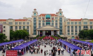 广西织密就业服务保障网 精准帮扶青年就业