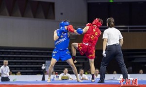 成都世运会武术项目：展现中国武术的“竞技之美”与“精神内核”