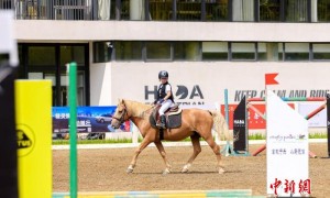 两岸青少年“骑”聚福州 以马会友促交流