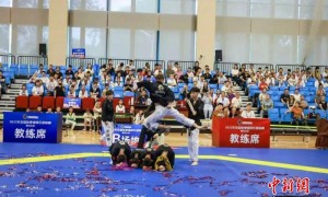 全国跆拳道俱乐部联赛在哈尔滨完赛 举行887场对决