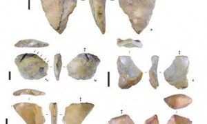 国际最新研究：印尼苏拉威西岛发现148万-104万年前石片工具