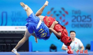 （成都世运会）武术散打项目收官 中国队获三金一银
