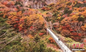 韩国启动“赏韩枫”主题推广 吸引中国游客赴韩