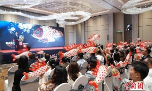 “美好安徽与世界对话”文旅推介会走进尼泊尔