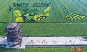 天津西青半程马拉松开跑 全国跑者驰骋生态赛道