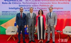 第一届“中巴科创之路”暨人工智能与科技园区政策研讨会在巴西利亚举行