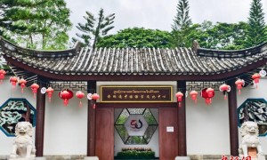 中泰相关机构联合举办泰中艺术联展庆两国建交五十周年