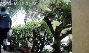 美国一快递员将包裹送达后 过了30秒又回来偷走