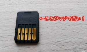 奇葩玩家为测试Switch卡带有多苦 竟连续舔卡带一周