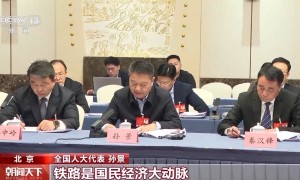两会同期声丨如何推动高质量共建“一带一路”走深走实？代表们建言献策