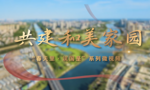 春天里·议国是｜共建和美家园