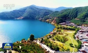 【新思想引领新征程】植树增绿共建美丽中国