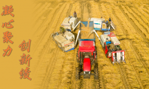 重磅微视频｜春风浩荡正扬帆