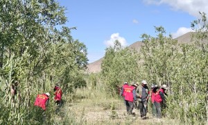 报效祖国 建功西部｜从“环境痛点”到“生态亮点” 西部生态“加减法”咋运算？