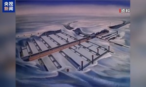 总台记者观察丨美“垂涎”格陵兰岛逾百年 丹麦民众如何说？