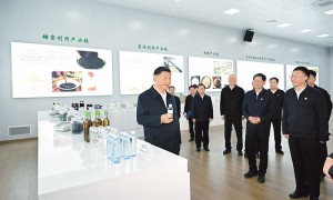 习近平：坚持和落实“两个毫不动摇”