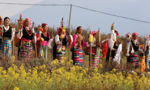 西藏林芝：高原春耕进行时