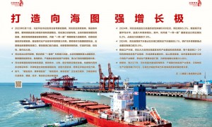 瞭望·治国理政纪事｜打造向海图强增长极