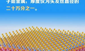 权威数读|一周“靓”数