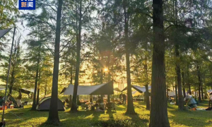 从“逐春而行”到“以春之名” 春日经济因何在广东“盛放”？