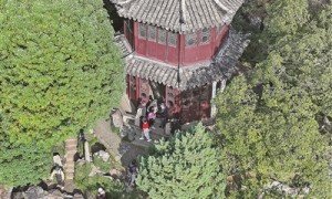 不入“园林”，怎知春色如许（传承之光）