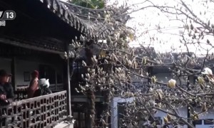 “烟花三月”旅游走热 带动多业态消费升温