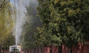 唠“科”话丨眼泪鼻涕随风起！“过敏侠”怎样过个好春天？