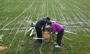 特写：飞翔在希望的田野——新疆喀什女飞手巧绘春耕新图景