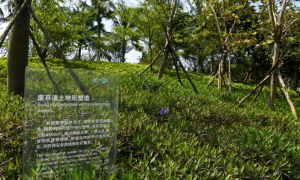 博鳌亚洲论坛丨海南博鳌：为全球“零碳标准”提供“中国答案”