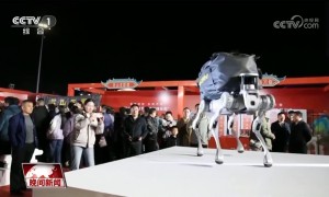 踏青出游好时节 新场景激发消费新活力