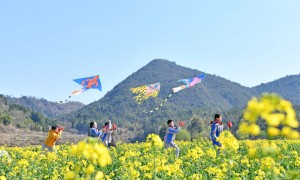 学习原声｜“调查研究是我们党的传家宝”