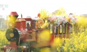 “农商文旅体”释放多“彩”活力 多样消费激活“春日经济”一池春水