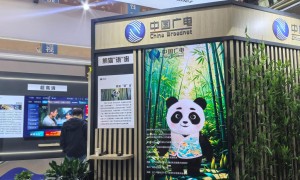 中国文化“新三样”出海又出彩