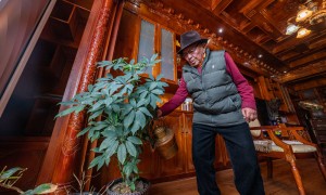 苦难和新生——西藏翻身农奴影像档案：洛桑